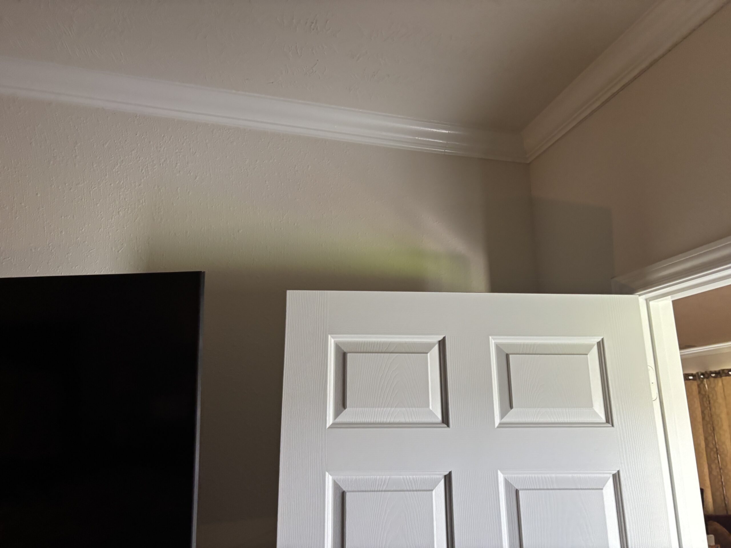 Active Roof Leak Repair